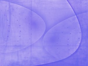 转化率为什么突然火起来了